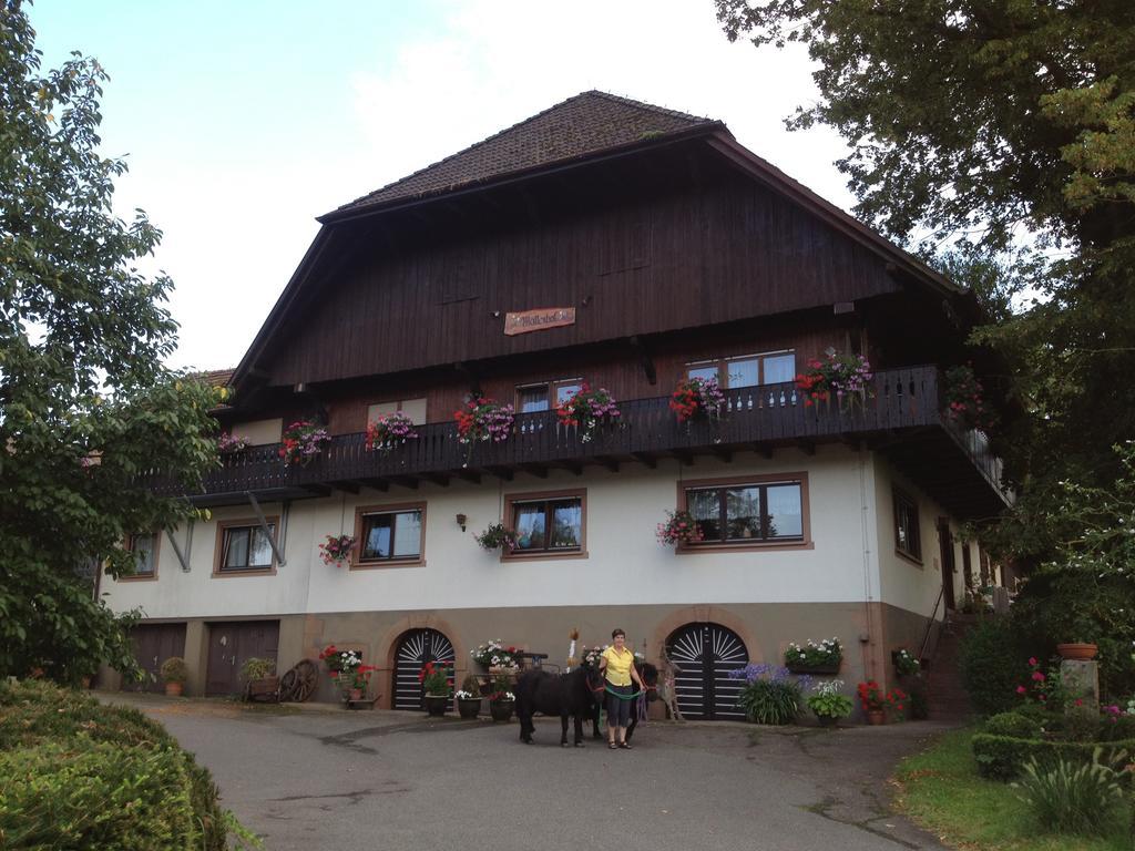 Mattenhof Zell am Harmersbach Luaran gambar
